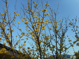 DSCN0132.JPG