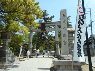 DSCN0240.JPG