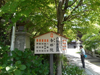 DSCN0246.JPG
