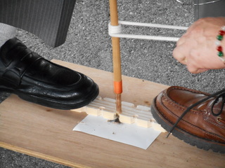 DSCN0352.JPG