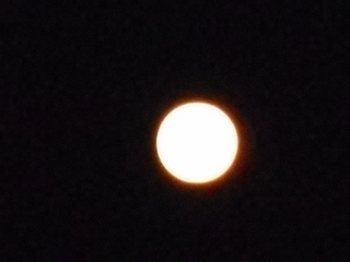 DSCN0365.JPG
