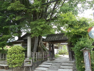 P6020004.JPG