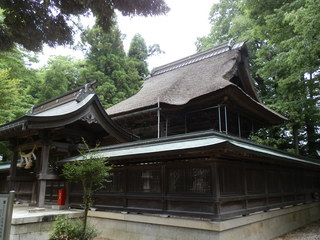 P6020026.JPG